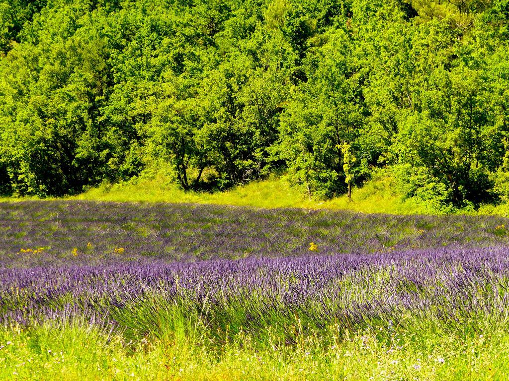 La Fontaine De Rocoule Hotel Rochefort-en-Valdaine ภายนอก รูปภาพ