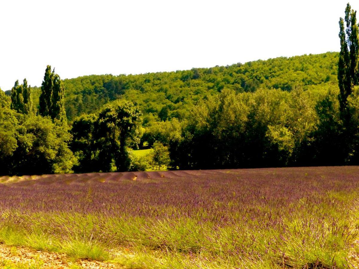 La Fontaine De Rocoule Hotel Rochefort-en-Valdaine ภายนอก รูปภาพ